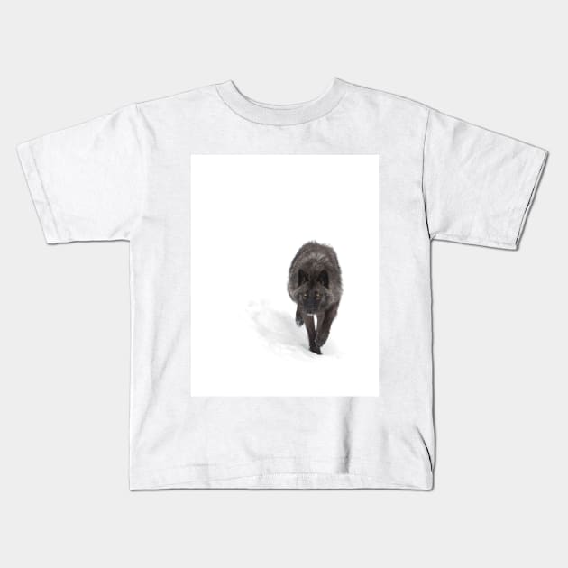 Black Wolf in winter Kids T-Shirt by Jim Cumming